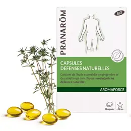 Pranarom Aromaforce Défenses Naturelles Bio 30 capsules