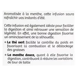 Vitavea - BioNutrisanté - Infusion froide Minceur - 20 sachets