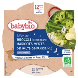 Babybio Repas Soir Assiette Brocoli Haricots Verts Riz +12m Bio 230g