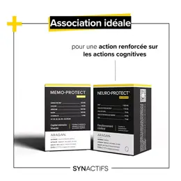 Aragan - Synactifs - MemoProtect® - Mémoire - Ginkgo Biloba - 60 gélules