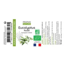 Propos' Nature Aroma-Phytothérapie Huile Essentielle Eucalyptus Radié Bio 10ml