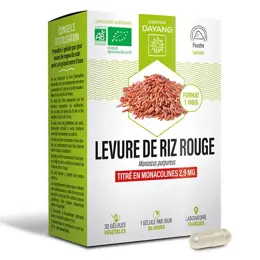 Dayang Levure de riz rouge BIO 30 gél