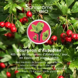 Santarome Bio - Bourgeon d'Aubépine Bio - Gémmothérapie - Flacon de 30ml