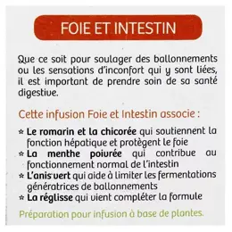 Vitavea - BioNutrisanté - Infusion Foie et intestin - 20 sachets