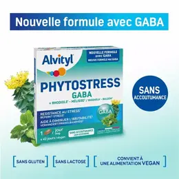 Alvityl Phytostress GABA Rhodiole Mélisse dès 12 ans 28 comprimés