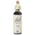 Bach Flower Vine 20ml
