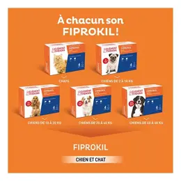 Clement Thekan Fiprokil Anti-Puces Anti-Tiques Chien 20-40kg 4 pipettes