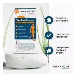 Granions Chondrostéo Fort Lot de 2 x 120 comprimés