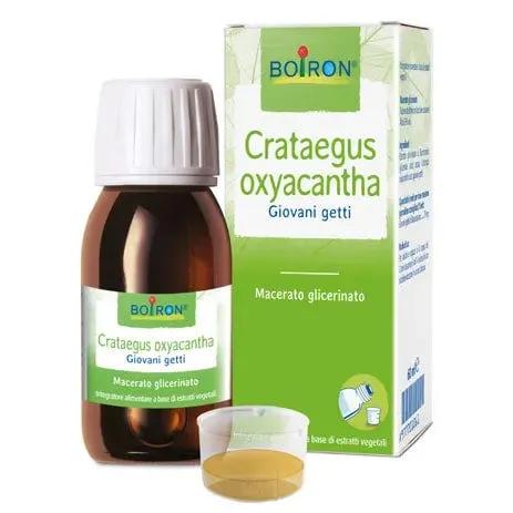 Boiron Crataegus Oxyacantha Macerato Glicerico 60 ml