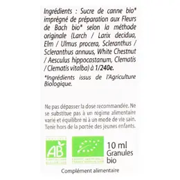 Biofloral Ecole et Devoirs 34 Granules 10ml