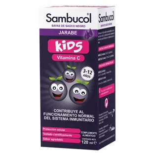 Sambucol Kids Syrup 120 ml