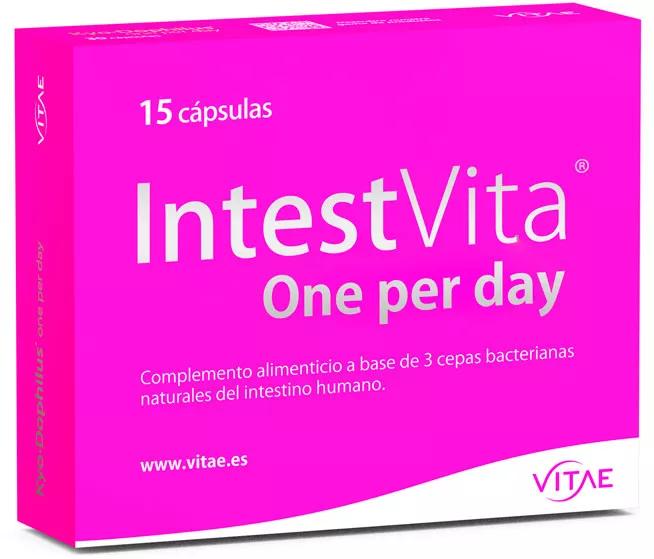 Vitae IntestVita One par Jour 15 Gélules