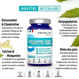 Granions Glucosamine 1500 mg 90 comprimés