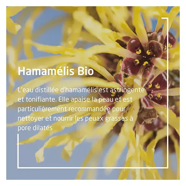 Weleda Extraits de Plantes Hamamélis Bio 60ml