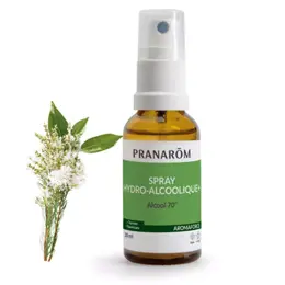 Pranarom Spray Hydro Alcoolique Bio 30ml