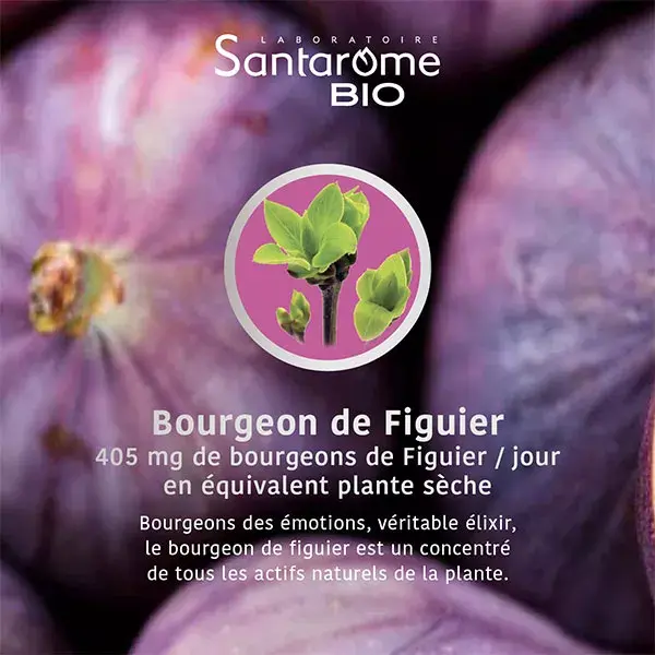 Santarome Bio - Bourgeon Figuier Bio - Gémmothérapie - Flacon de  30ml