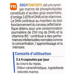 Nutergia Ergyfosforyl 60 capsules