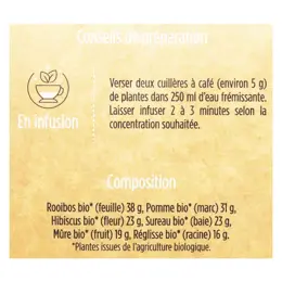 Nat & Form Tisane de Noël Bio 150g