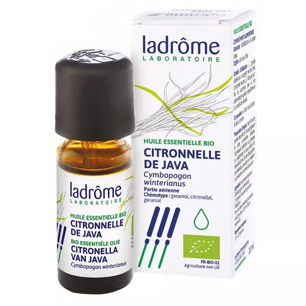 Ladrome aceite esencial orgánico Java de Lemongrass 10ml