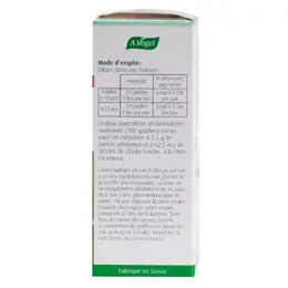 A.Vogel Echinaforce Immunité 100ml