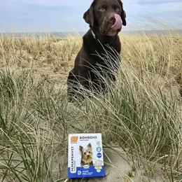 BF Petfood Bonbons répulsifs à l'ail pour chien 80 pièces