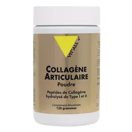 Vit'all+ Collagène Articulaire Poudre 120g