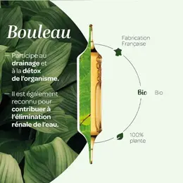 Superdiet Bouleau Bio 20 ampoules