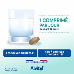 Alvityl Phytostress GABA Rhodiole Mélisse dès 12 ans 28 comprimés