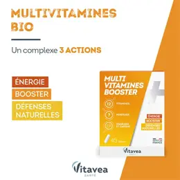 Vitavea Multi Vitamines Booster Energie Défenses naturelles 45 gélules