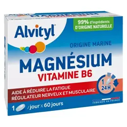 Alvityl Magnésium Vitamine B6 Libération prolongée dès 12 ans 60 comprimés