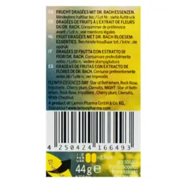 Lemon Pharma Fleurs de Bach Dragées Stressless Jour et Nuit n°39 21g