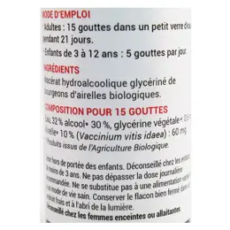 Oemine Macérât Glycériné Airelle Bio 30ml