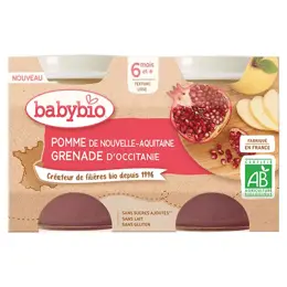 Babybio Fruits Pot Pomme Grenade +6m Bio 2 x 130g