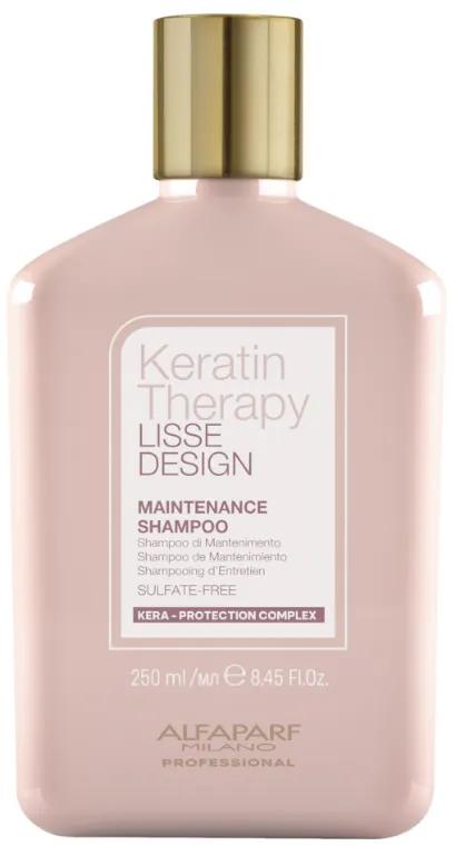 Alfaparf Therapy Shampooing d'entretien lisse 250 ml