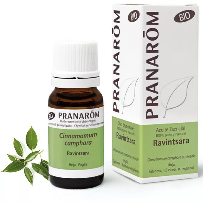 Ravintsara etherische olie BIO Pranarom 10 ml.