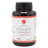 Phytaya Circulation Ginkgo Biloba Bio 200 gélules