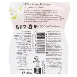 Popote Les Fruits Gourde Poire +4m Bio 120g