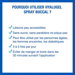 Hyalugel Spray Buccal Aphtes Petites Plaies 20ml