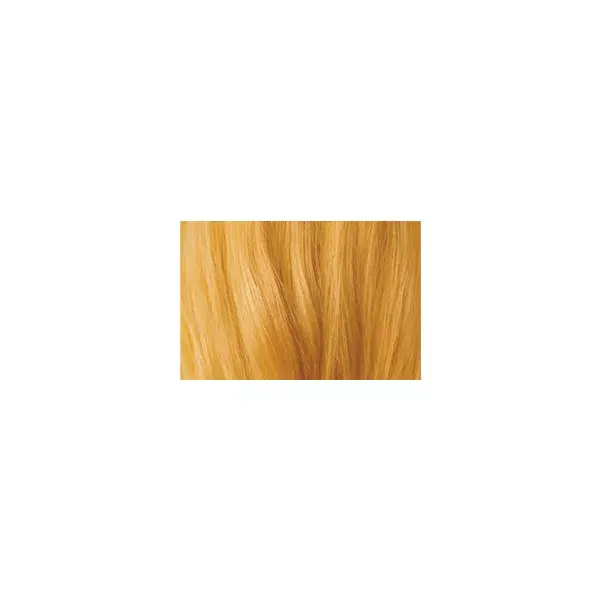 Logona Coloration-soin blond doré 100g