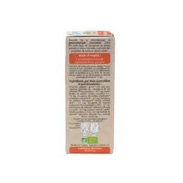 Herbalgem Complexe de Gemmothérapie Energem Energié Mentale Physique Bio 15ml