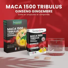 Santarome - Maca 1500 Tribulus Ginseng Gingembre - Tonus sexuel - 30 comprimés