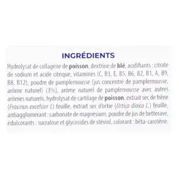 Pharm Nature Micronutrition Collagène Marin de Bretagne 450g