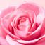 Nuxe Very Rose Gel Limpiador Calmante 150ml