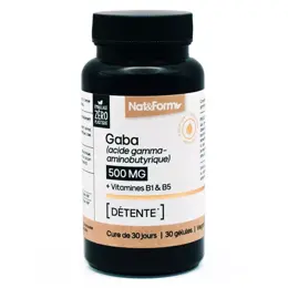 Nat & Form GABA + Vitamines B1 & B5 nervosité 30 gélules