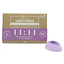 Lov'FROG Coffret Fondant Parfumé Parfum d'Ambiance 11:11 Ambré Cuivré Épicé Bio 6 unités