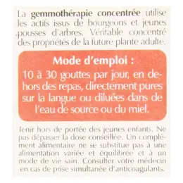 Herbalgem Complexe de Gemmothérapie Ginkogem Concentration Bio 30ml