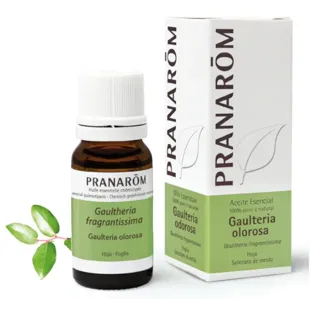 Pranarom Olorosa Óleo Essencial Wintergreen Orgânico 10 ml
