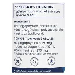 Oemine Artro Harpagophytum et Cassis 60 gélules