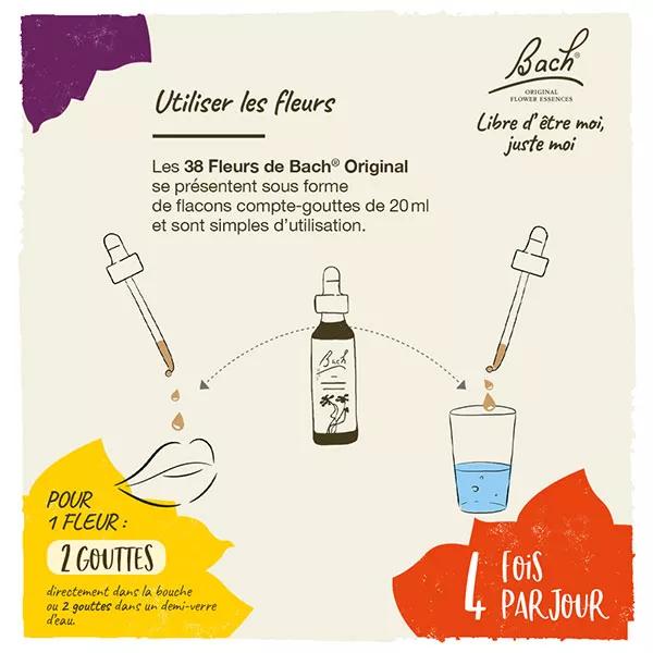 Flores de Bach 36 Wild Oat - avena loca 20ml