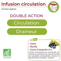 Nutrigée Infusion Circulation 10 Plantes 30 sachets